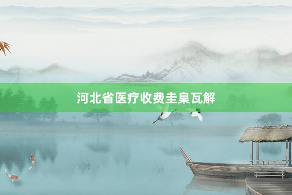 河北省医疗收费圭臬瓦解